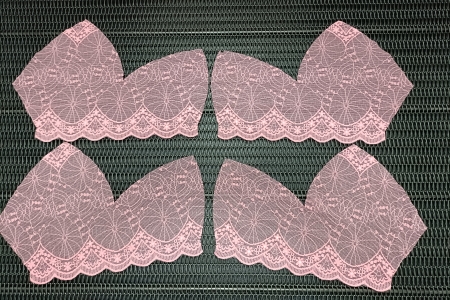 蕾丝内衣切割样品5